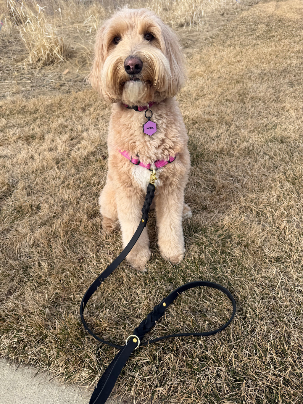 Black Leather Dog Leash