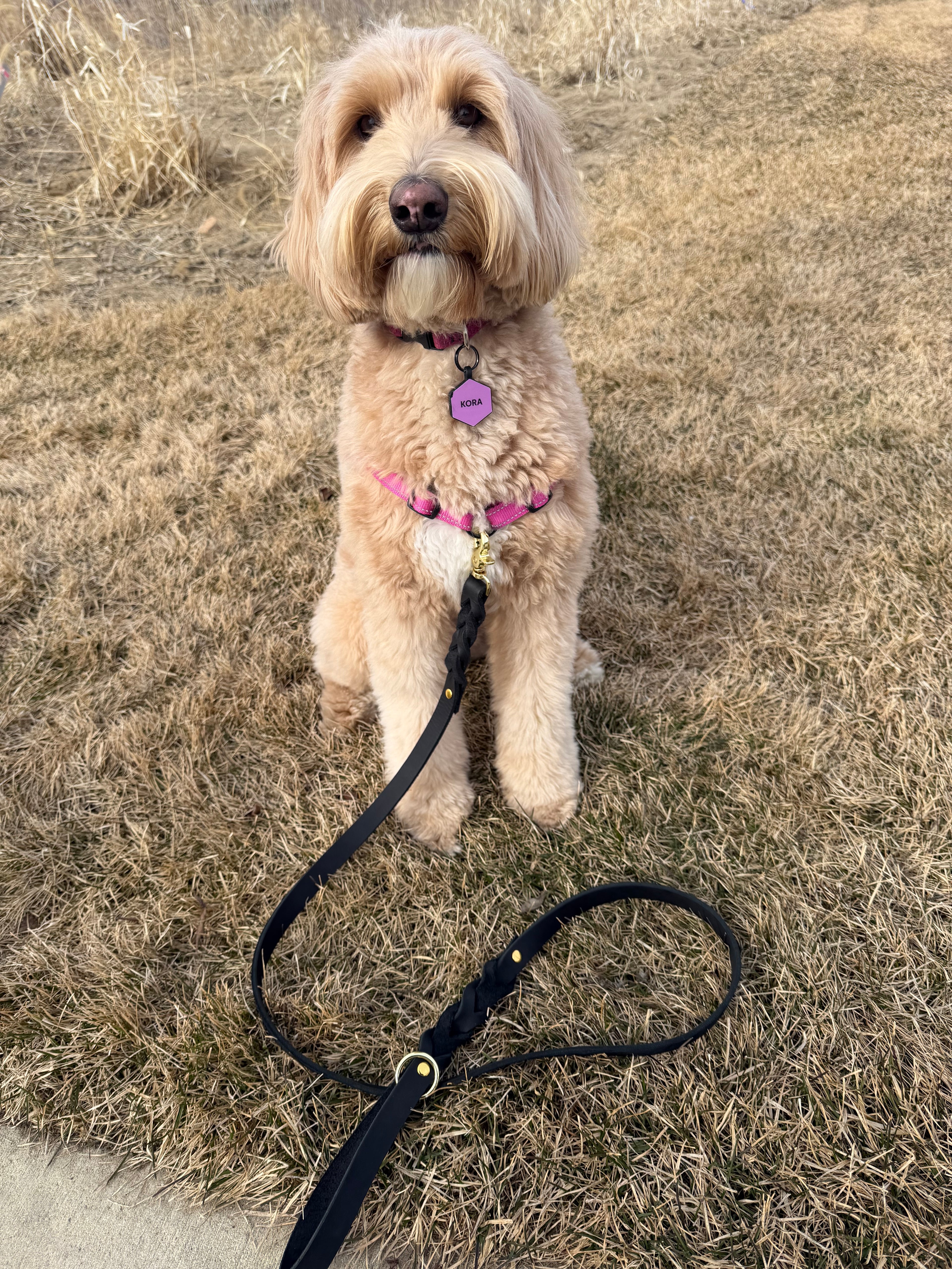 Black Leather Dog Leash